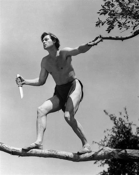 pictures of johnny weissmuller jr|johnny wiseman tarzan.